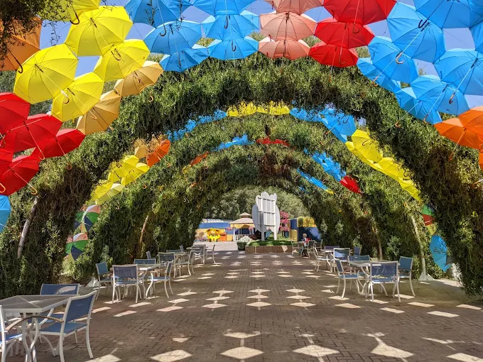 Dubai Butterfly Garden - Image 04 (April 27, 2026)