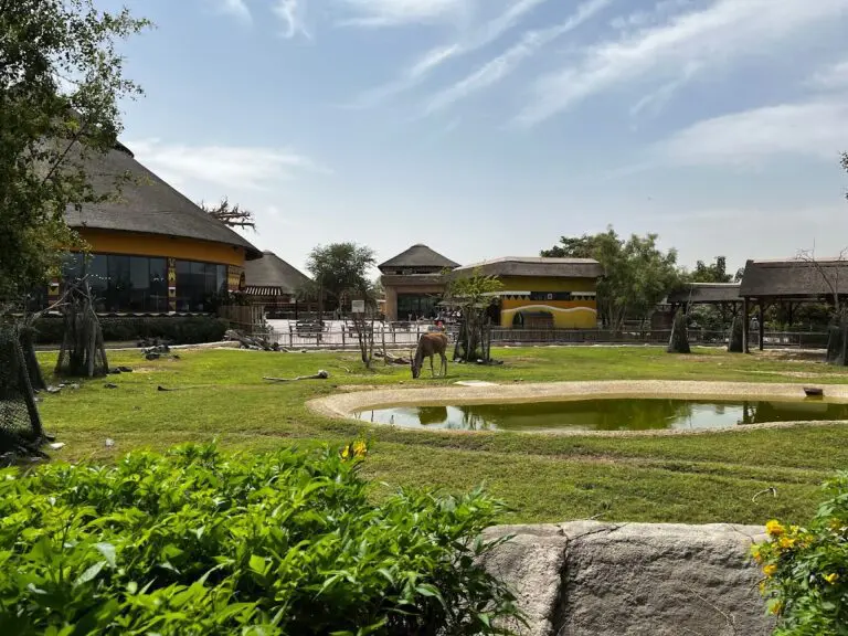 Dubai Safari Park - Image 06 (April 27, 2026)