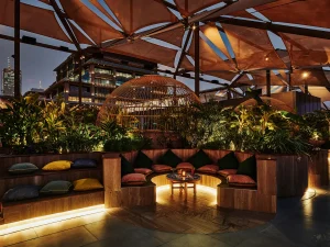 Monkey Bar - Image 05 (May 22, 2026)