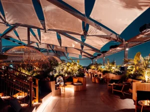 Monkey Bar - Image 04 (May 22, 2026)