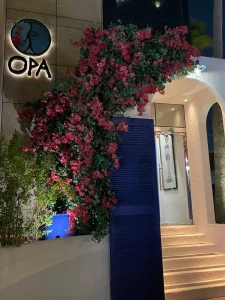 OPA Dubai - Image 05 (May 13, 2026)