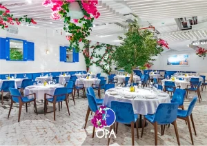 OPA Dubai - Image 03 (May 13, 2026)