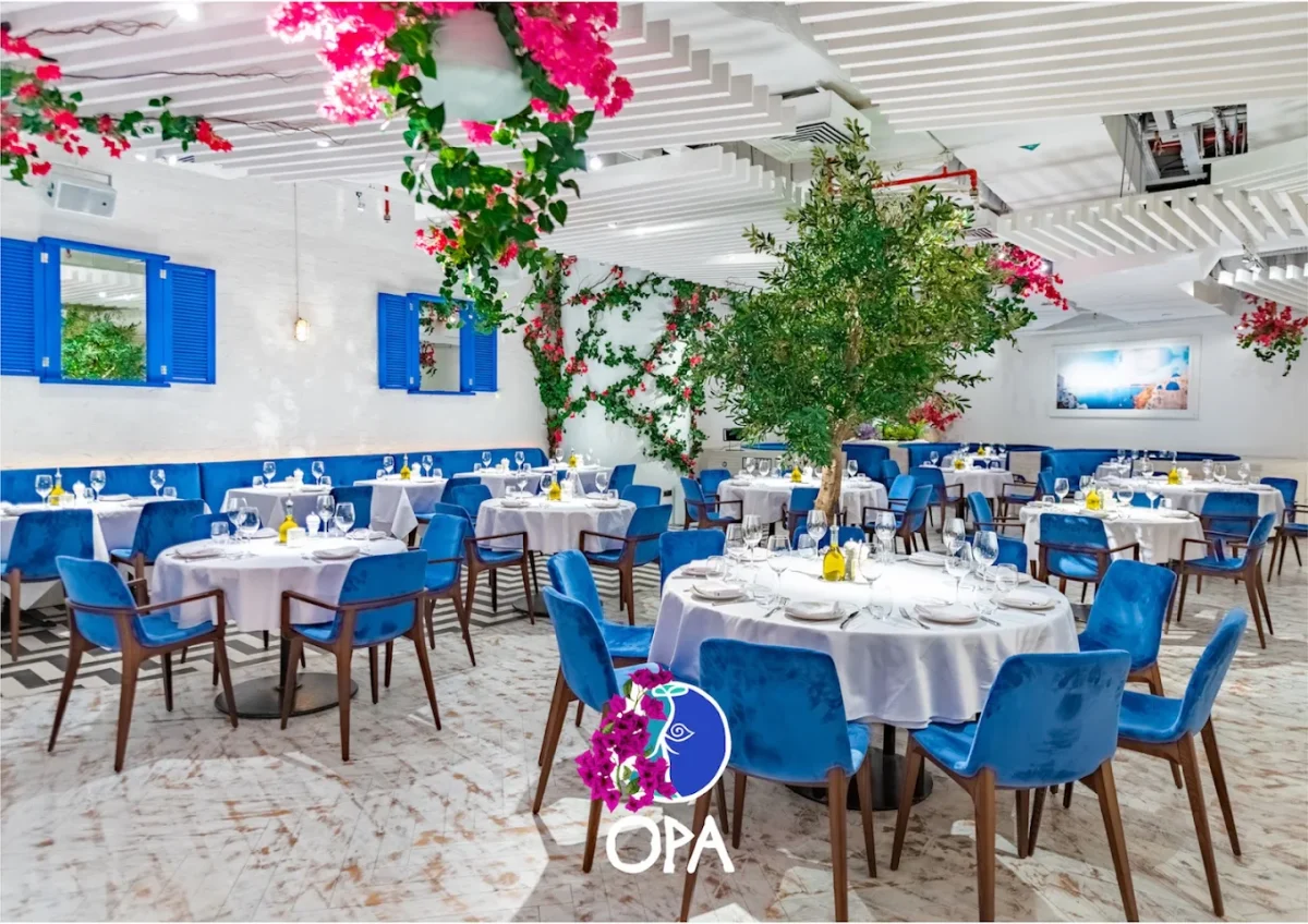 OPA Dubai - Image 03 (May 13, 2026)