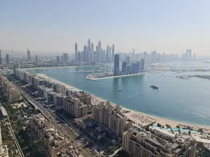 The View Palm - Image 07 (May 20, 2026)