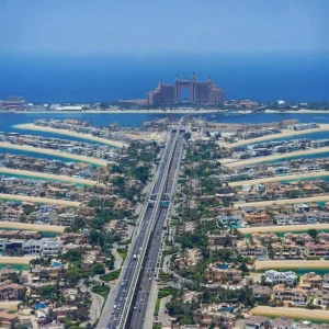 The View Palm - Image 06 (May 20, 2026)