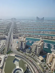 The View Palm - Image 05 (May 20, 2026)