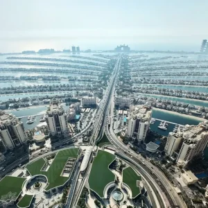 The View Palm - Image 04 (May 20, 2026)