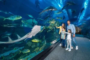 Dubai Aquarium - Image 05 (June 2, 2026)