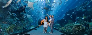 Dubai Aquarium - Image 03 (June 2, 2026)