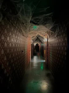 Horror Rooms & Cinema - Image 05 (June 6, 2026)