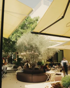 Cafe Villa 515 - Image 09 (July 3, 2026)