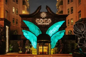 COCO - Image 04 (July 17, 2026)