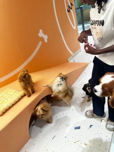 Fluffin Dog Cafe - Image 06 (July 20, 2026)