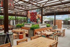 Brew House - Image 05 (August 6, 2026)