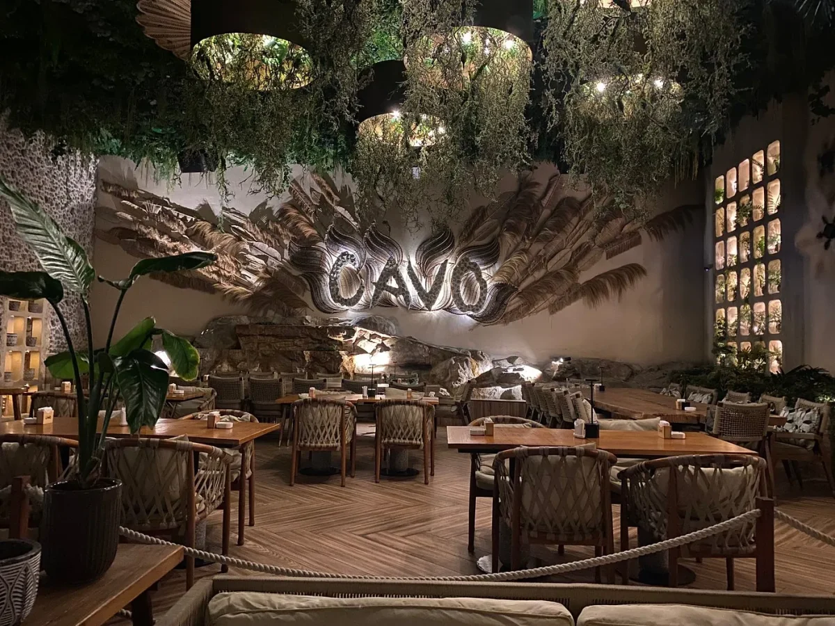 CAVO - Image 03 (August 2, 2026)