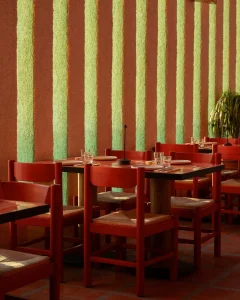 Cocina Tres - Image 05 (August 13, 2026)