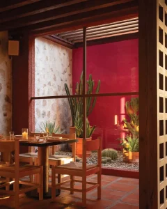 Cocina Tres - Image 07 (August 13, 2026)