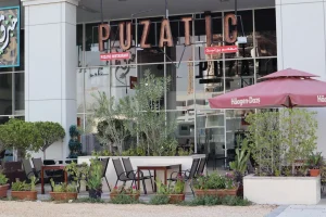 Puzatic - Image 05 (August 24, 2026)