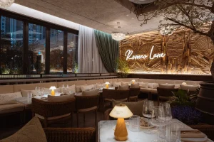 Romeo Lane - Image 05 (August 23, 2026)