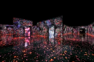 Discover Korea at Arte Museum - Image 03 (September 20, 2026)