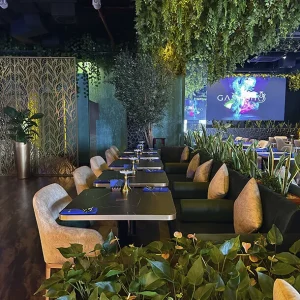 Gashisha - Image 05 (September 24, 2026)