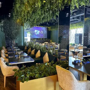 Gashisha - Image 06 (September 24, 2026)