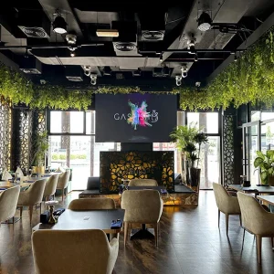Gashisha - Image 04 (September 24, 2026)