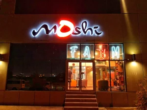 Moshi - Image 04 (September 4, 2026)