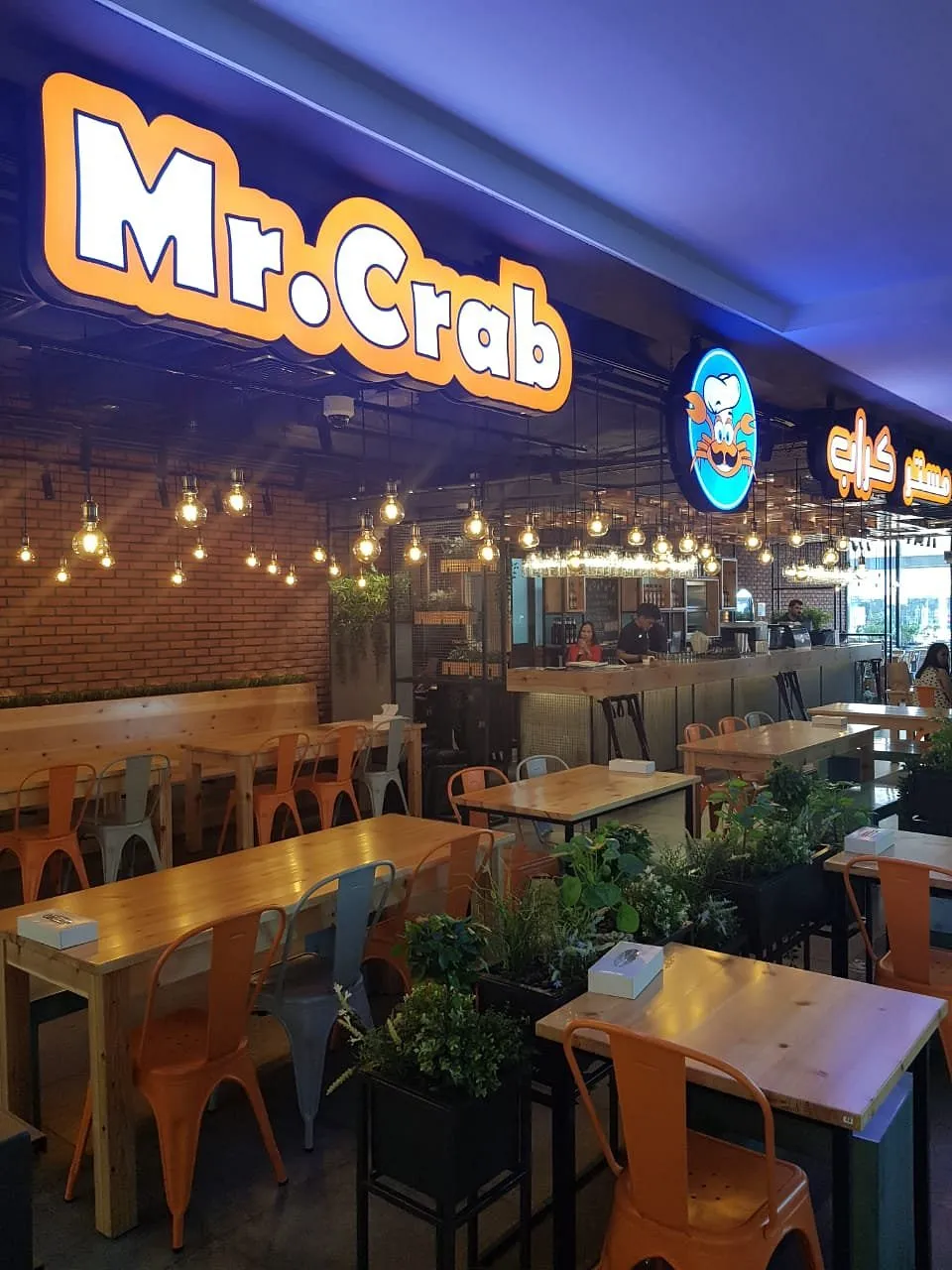 Mr. Crab - Image 03 (September 25, 2026)